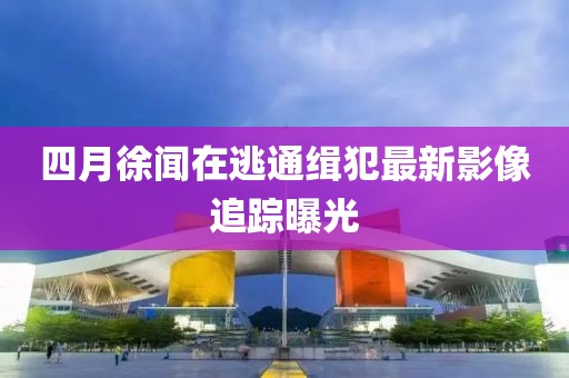 四月徐聞在逃通緝犯最新影像追蹤曝光
