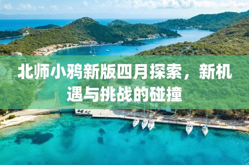 北師小鴉新版四月探索，新機(jī)遇與挑戰(zhàn)的碰撞