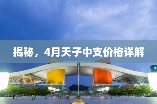 揭秘，4月天子中支價(jià)格詳解