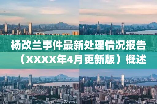 楊改蘭事件最新處理情況報告（XXXX年4月更新版）概述