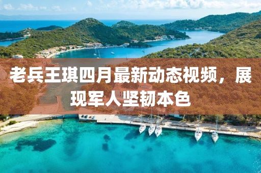 老兵王琪四月最新動(dòng)態(tài)視頻，展現(xiàn)軍人堅(jiān)韌本色