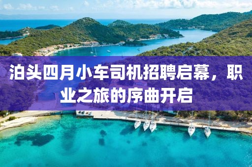 泊頭四月小車司機(jī)招聘啟幕，職業(yè)之旅的序曲開啟
