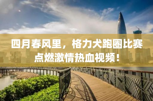 四月春風里，格力犬跑圈比賽點燃激情熱血視頻！