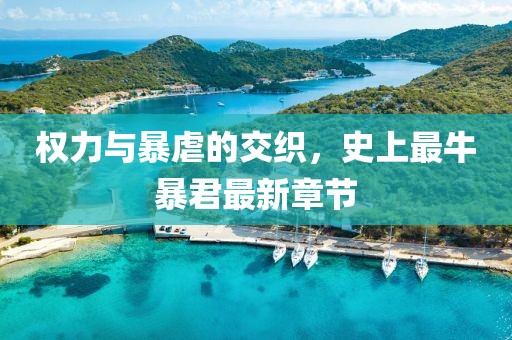 權力與暴虐的交織，史上最牛暴君最新章節(jié)