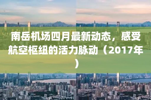 南岳機(jī)場四月最新動態(tài)，感受航空樞紐的活力脈動（2017年）