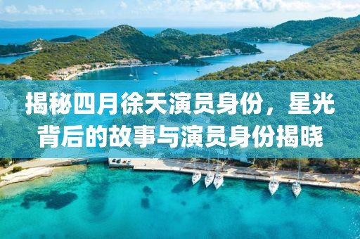 揭秘四月徐天演員身份，星光背后的故事與演員身份揭曉