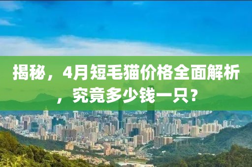 揭秘，4月短毛貓價(jià)格全面解析，究竟多少錢一只？