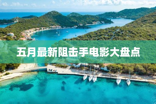 五月最新阻擊手電影大盤點(diǎn)