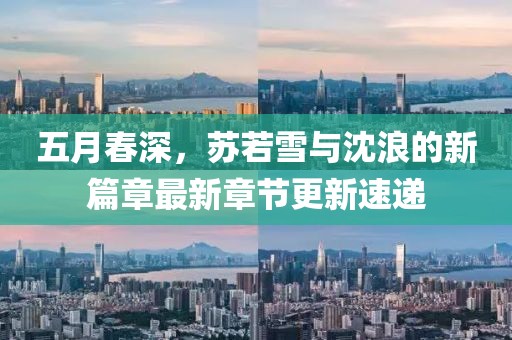 五月春深，蘇若雪與沈浪的新篇章最新章節(jié)更新速遞