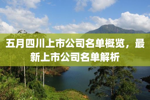五月四川上市公司名單概覽，最新上市公司名單解析