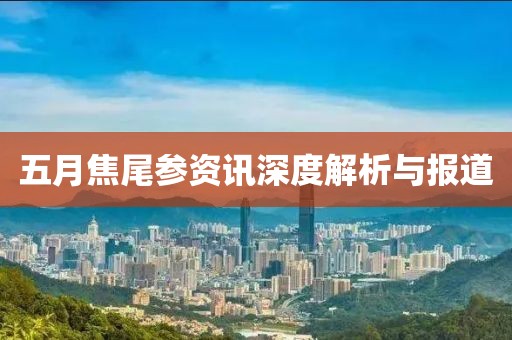 五月焦尾參資訊深度解析與報道