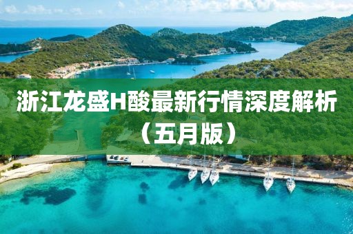 浙江龍盛H酸最新行情深度解析（五月版）