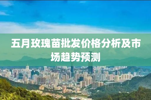 五月玫瑰苗批發(fā)價格分析及市場趨勢預測
