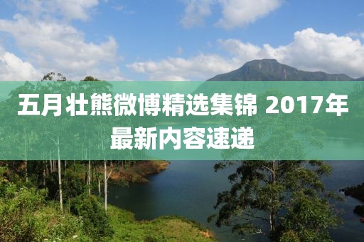 2025年5月17日