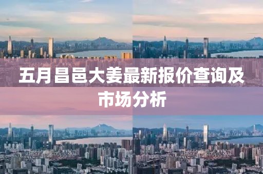 五月昌邑大姜最新報(bào)價(jià)查詢及市場(chǎng)分析