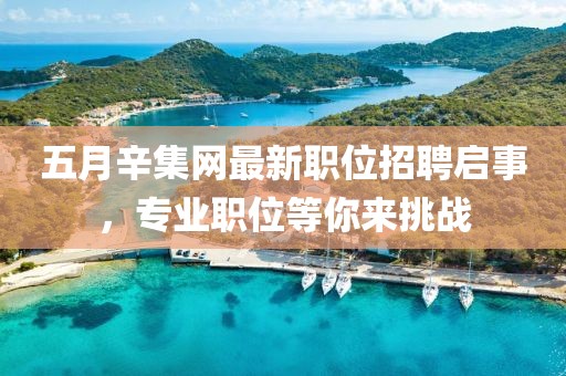 五月辛集網(wǎng)最新職位招聘啟事，專業(yè)職位等你來挑戰(zhàn)