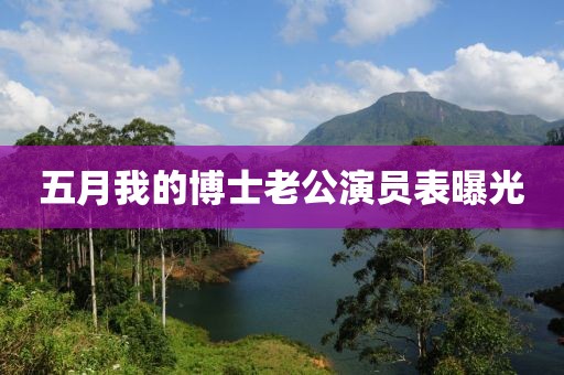 五月我的博士老公演員表曝光