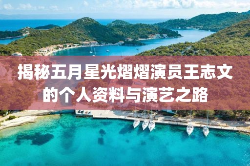揭秘五月星光熠熠演員王志文的個人資料與演藝之路