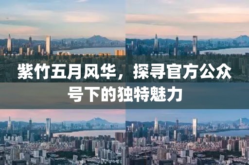 紫竹五月風(fēng)華，探尋官方公眾號(hào)下的獨(dú)特魅力