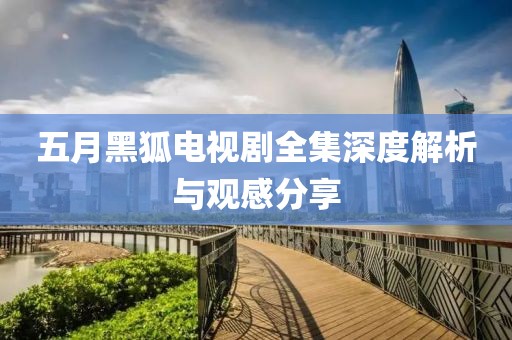 五月黑狐電視劇全集深度解析與觀感分享