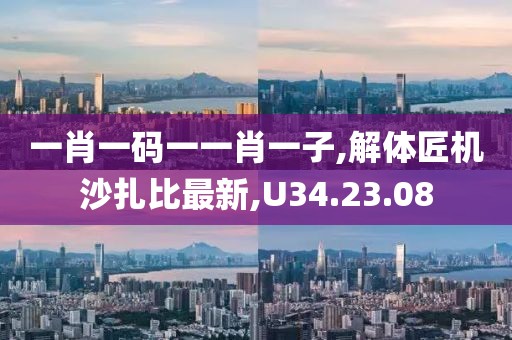 一肖一碼一一肖一子,解體匠機沙扎比最新,U34.23.08
