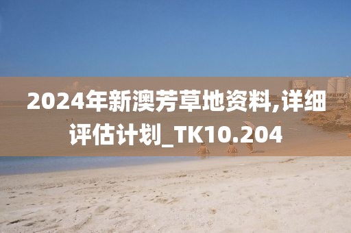 2024年新澳芳草地資料,詳細(xì)評(píng)估計(jì)劃_TK10.204