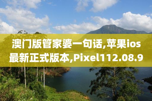 澳門版管家婆一句話,蘋果ios最新正式版本,Pixel112.08.90