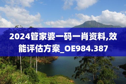 2024管家婆一碼一肖資料,效能評估方案_OE984.387