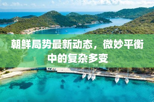 朝鮮局勢最新動態(tài)，微妙平衡中的復(fù)雜多變
