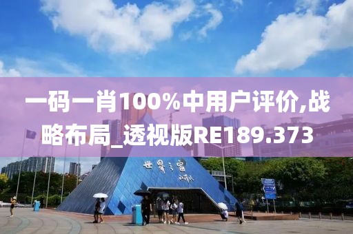一碼一肖100%中用戶(hù)評(píng)價(jià),戰(zhàn)略布局_透視版RE189.373