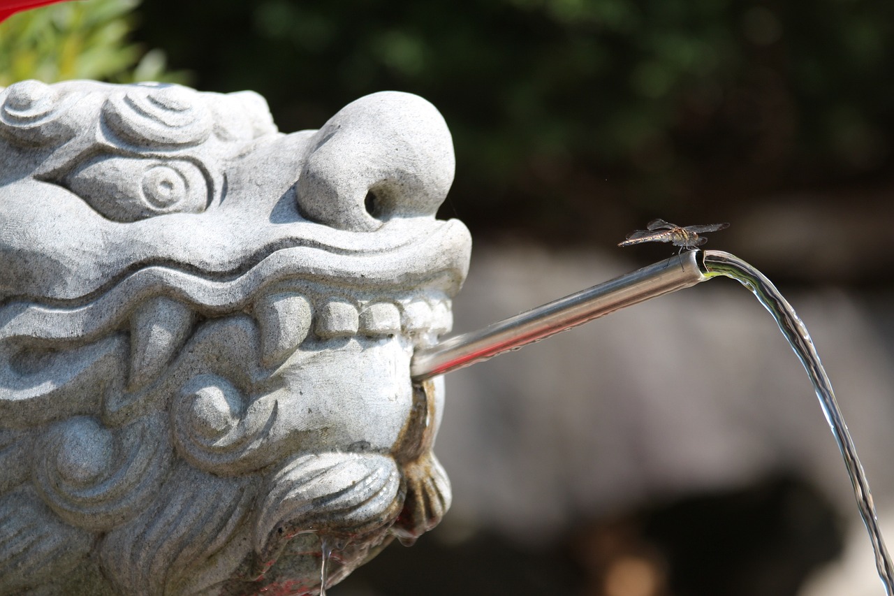 中江縣倉山鎮(zhèn)蓬勃發(fā)展新面貌的最新動態(tài)