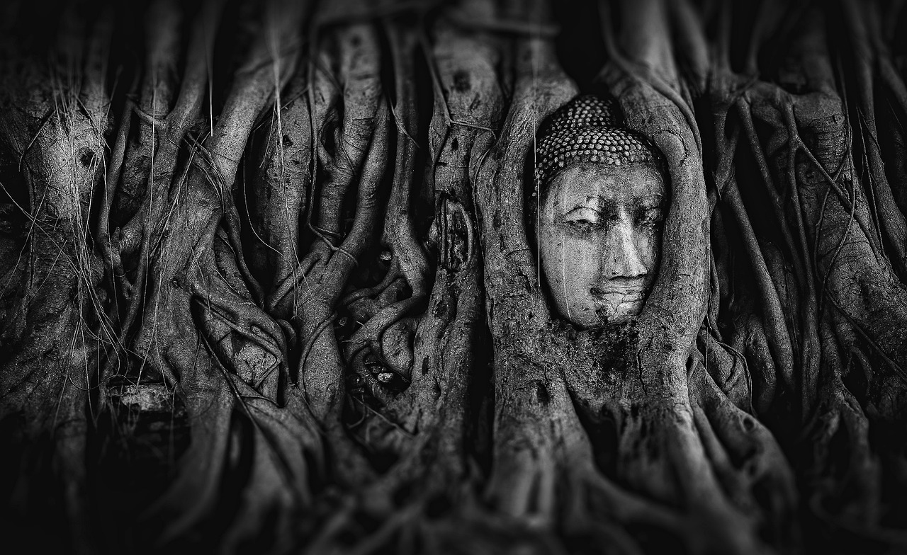 探索神秘女兒國的最新章節(jié)，穿越之旅的奇遇