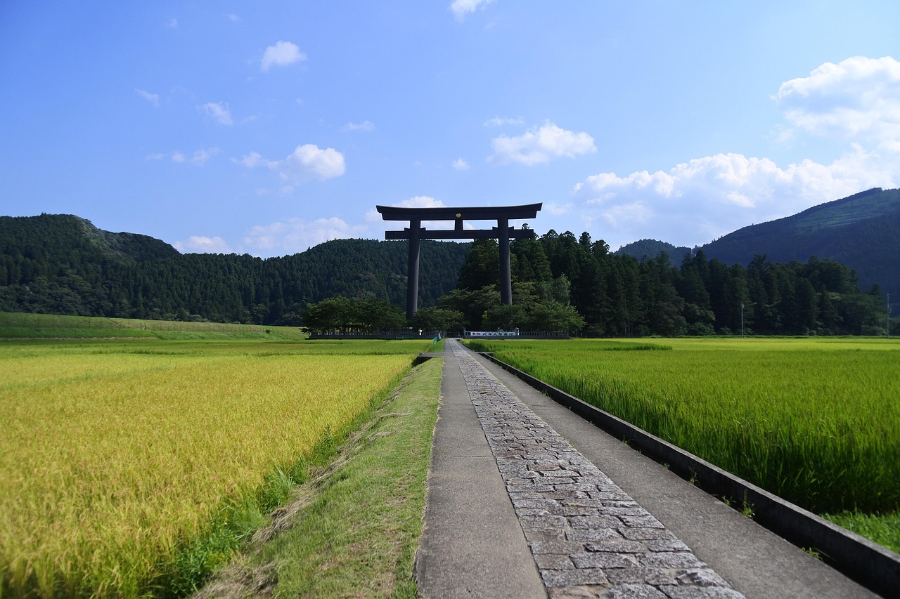 洛陽三山村規(guī)劃重塑鄉(xiāng)村風貌，引領未來發(fā)展新篇章
