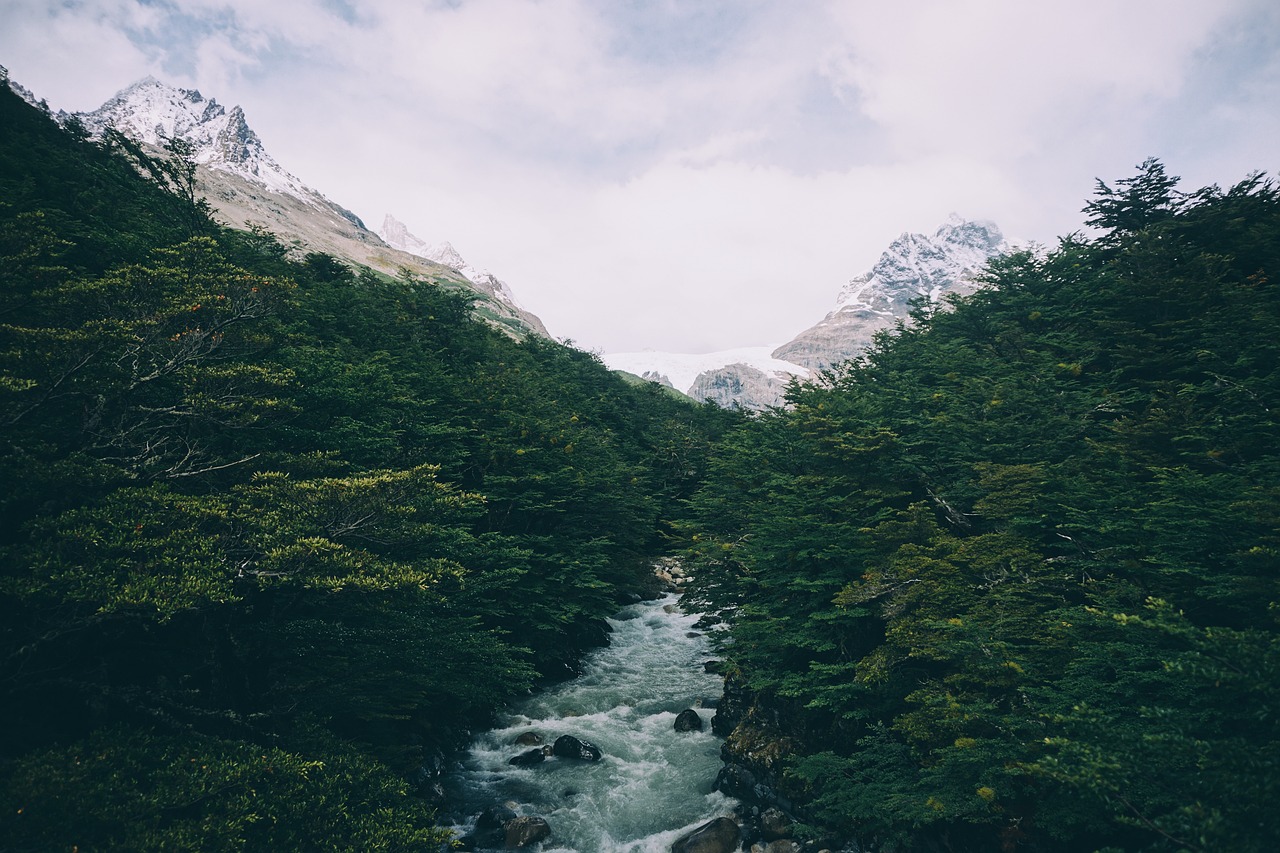 顧涼辰白美景，奇幻世界的最新探索章節(jié)