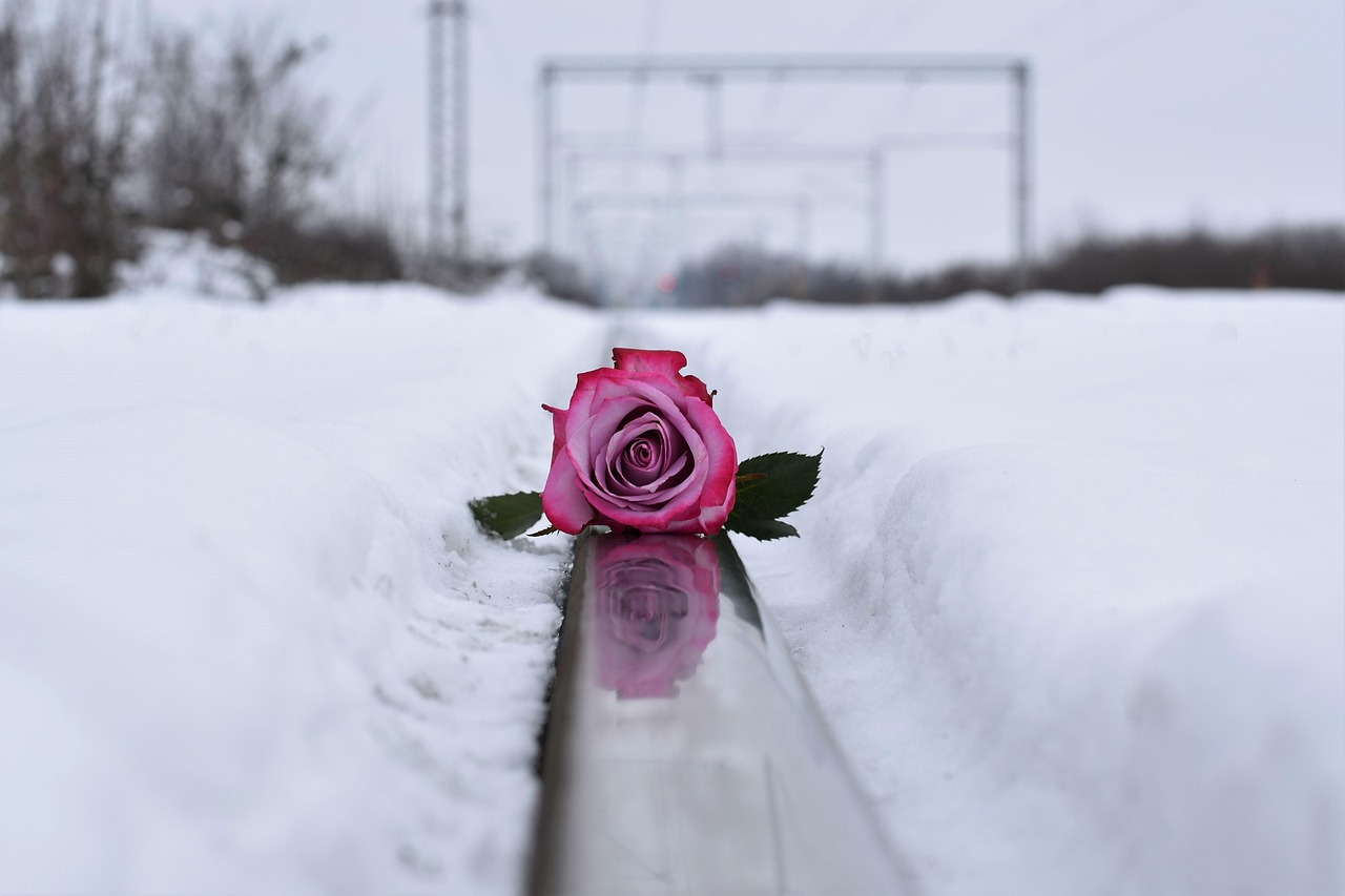 我在風(fēng)花雪月里等你最新章節(jié)探尋浪漫之旅之旅。