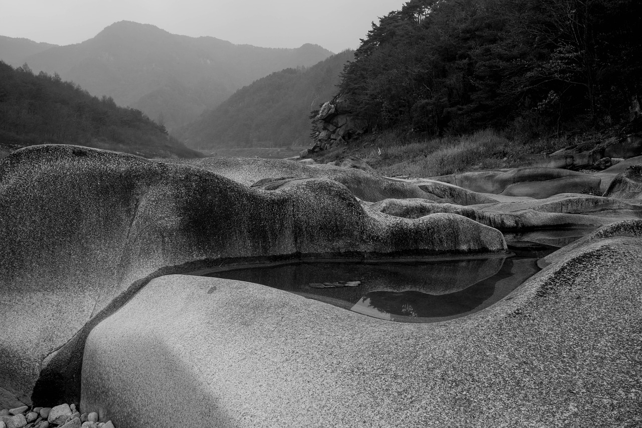 巫山縣何培龍最新簡歷詳解，個人背景與經(jīng)歷一網(wǎng)打盡