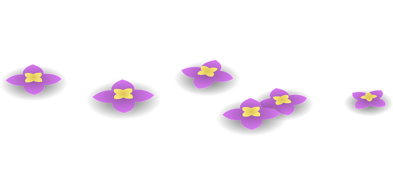 北京世界之花打造全新花卉產(chǎn)業(yè)標(biāo)桿，最新消息揭秘進(jìn)展動(dòng)態(tài)