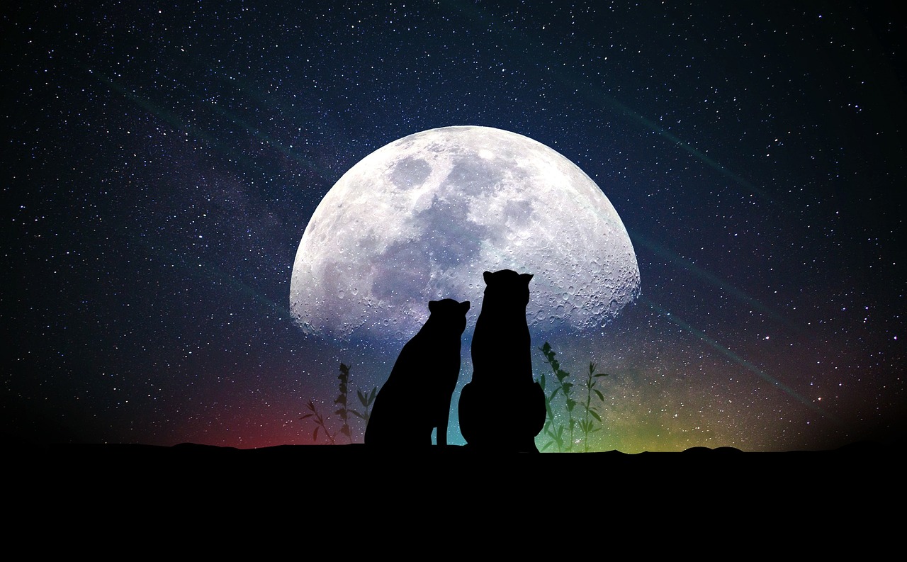 探索四月明星視頻制作背后的故事與魅力