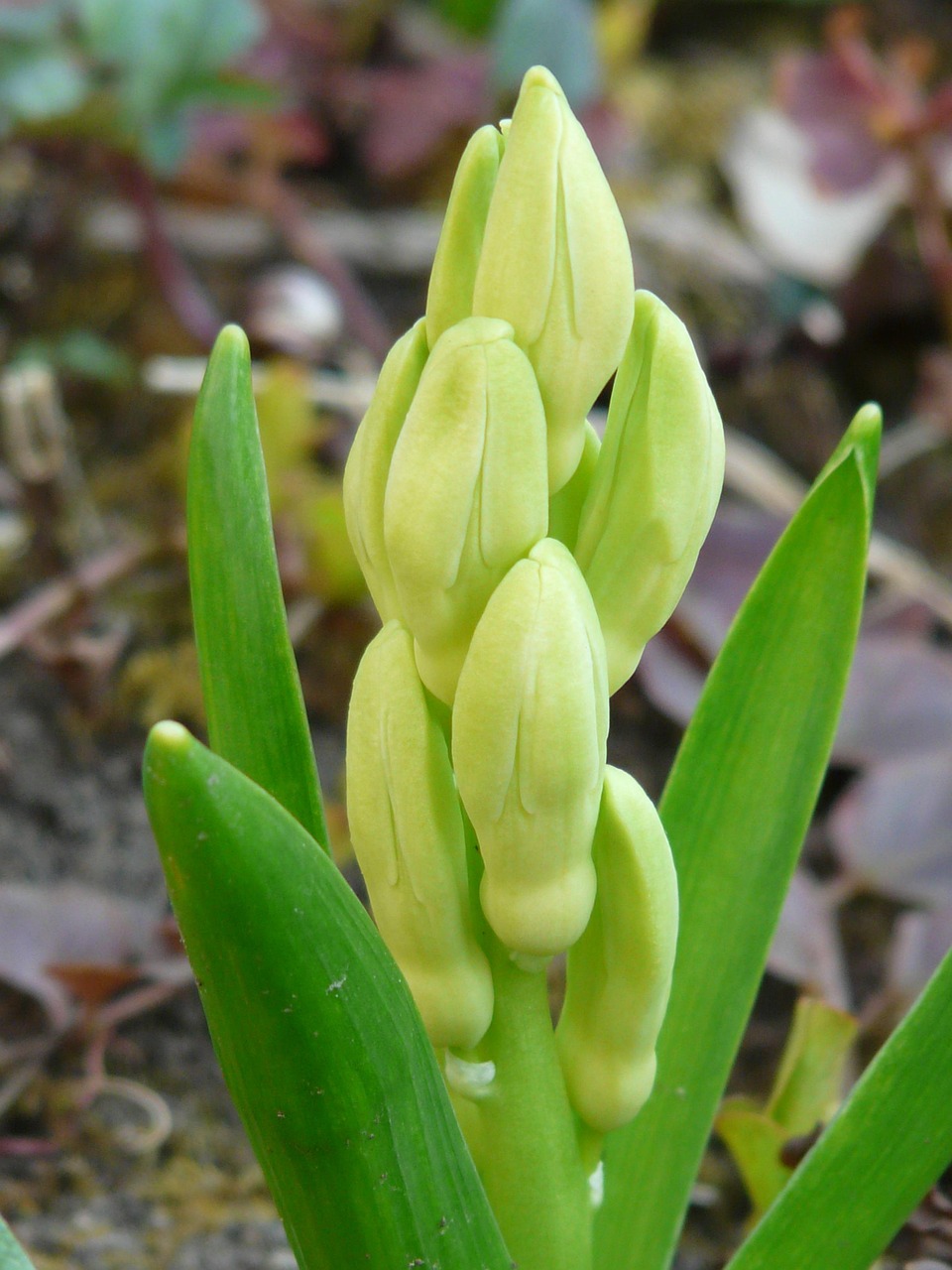 4月阿根廷華人最新動(dòng)態(tài)概覽