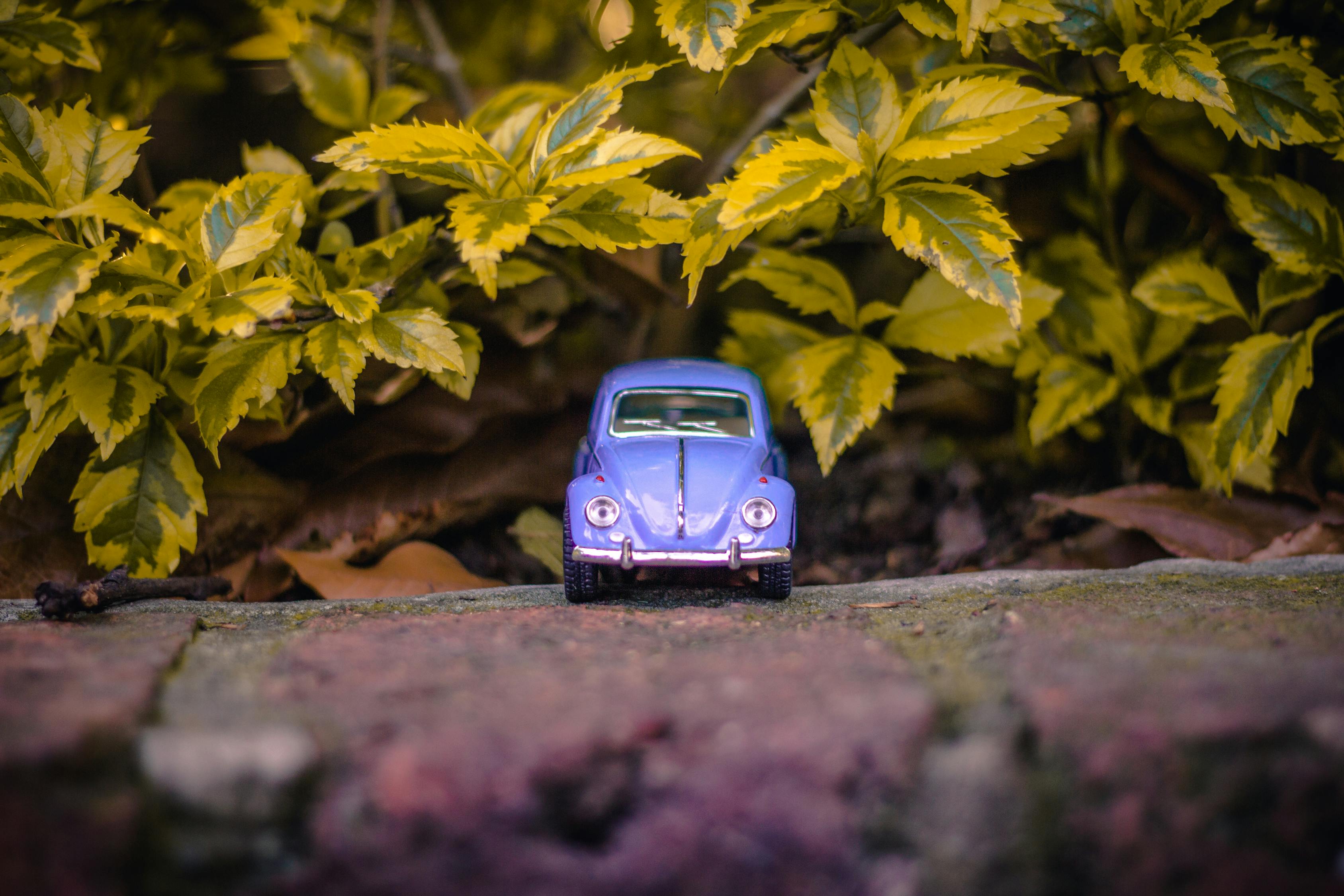 五月神州租車(chē)房車(chē)租賃價(jià)格一覽表